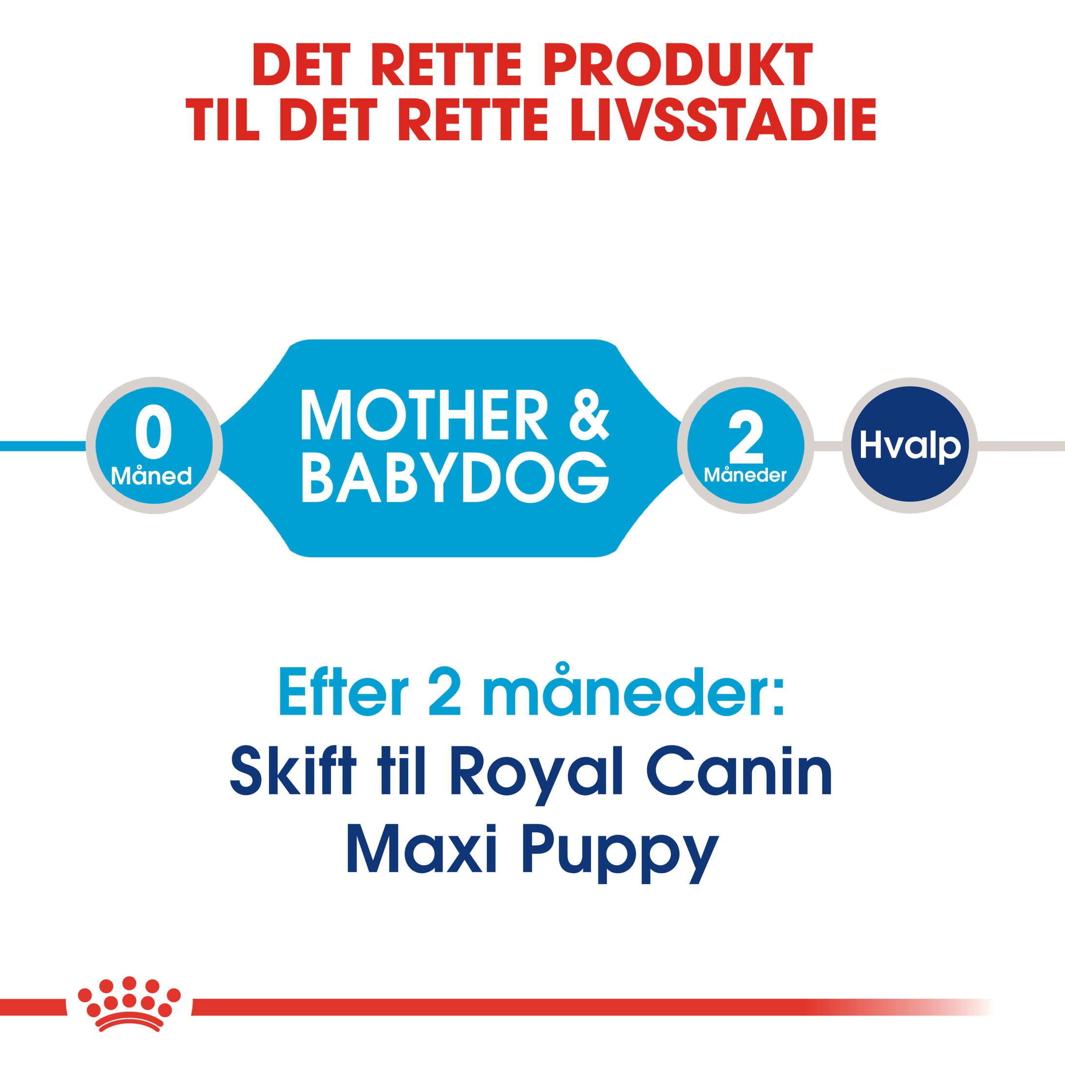 Royal Canin Maxi Starter Mother & Babydog hundefoder