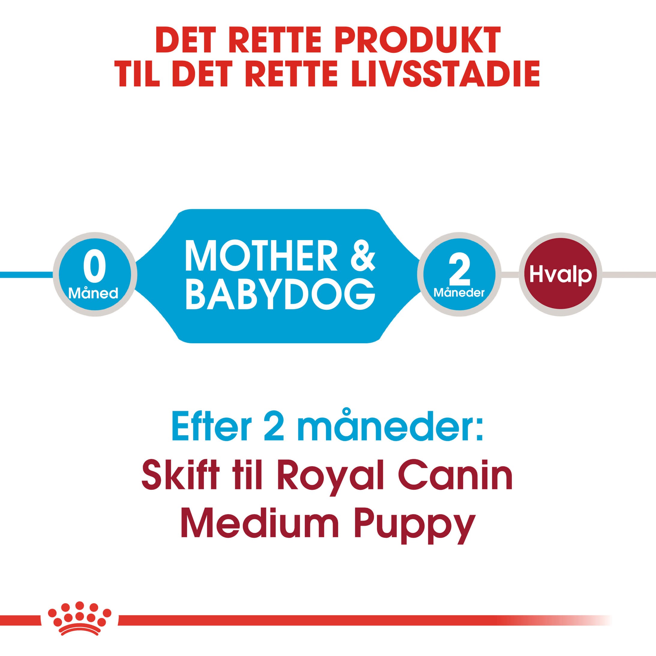 Royal Canin Medium Starter Mother and Babydog