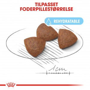 Royal Canin Medium Starter Mother and Babydog