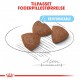Royal Canin Medium Starter Mother and Babydog