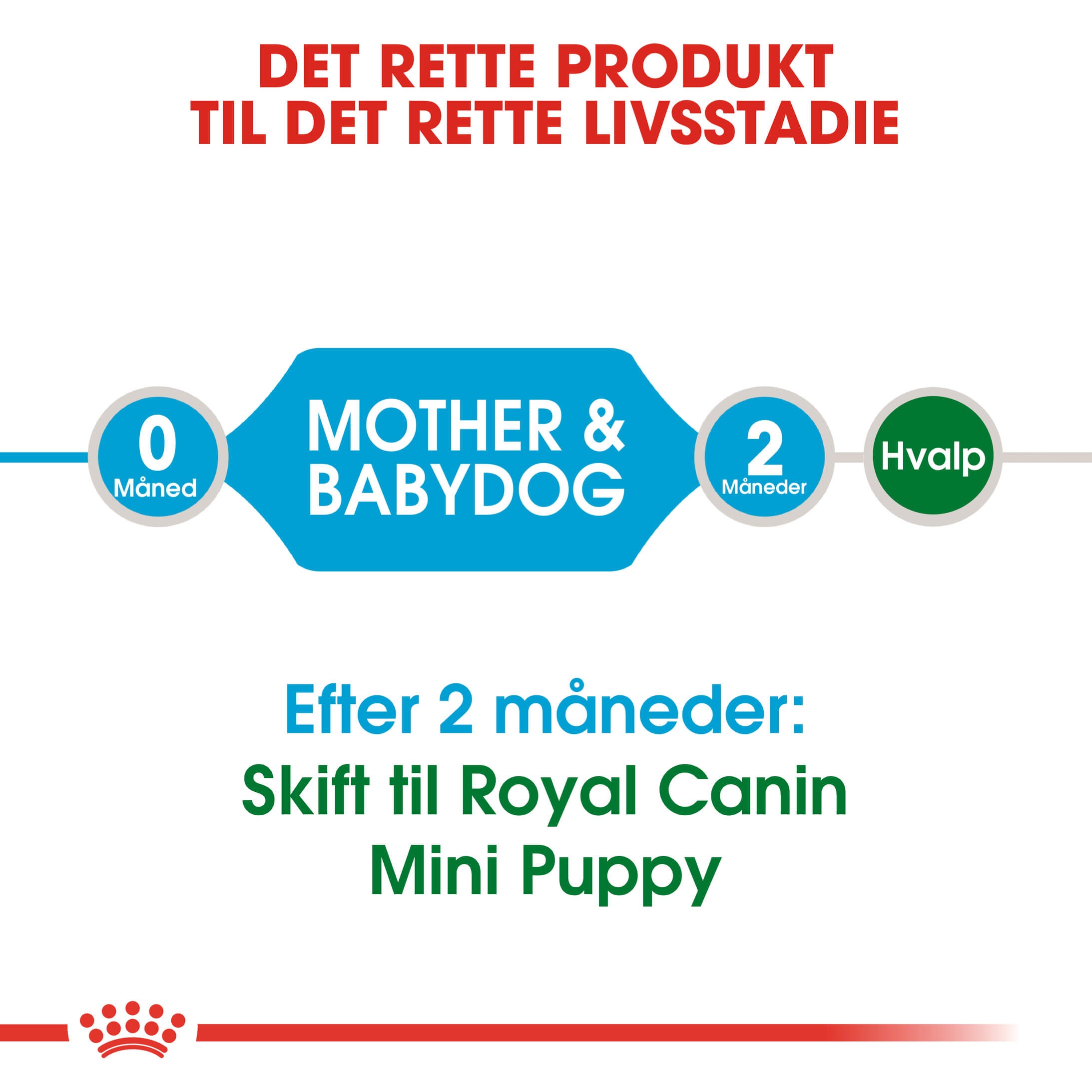 Royal Canin Mini Starter Mother & Babydog hundefoder