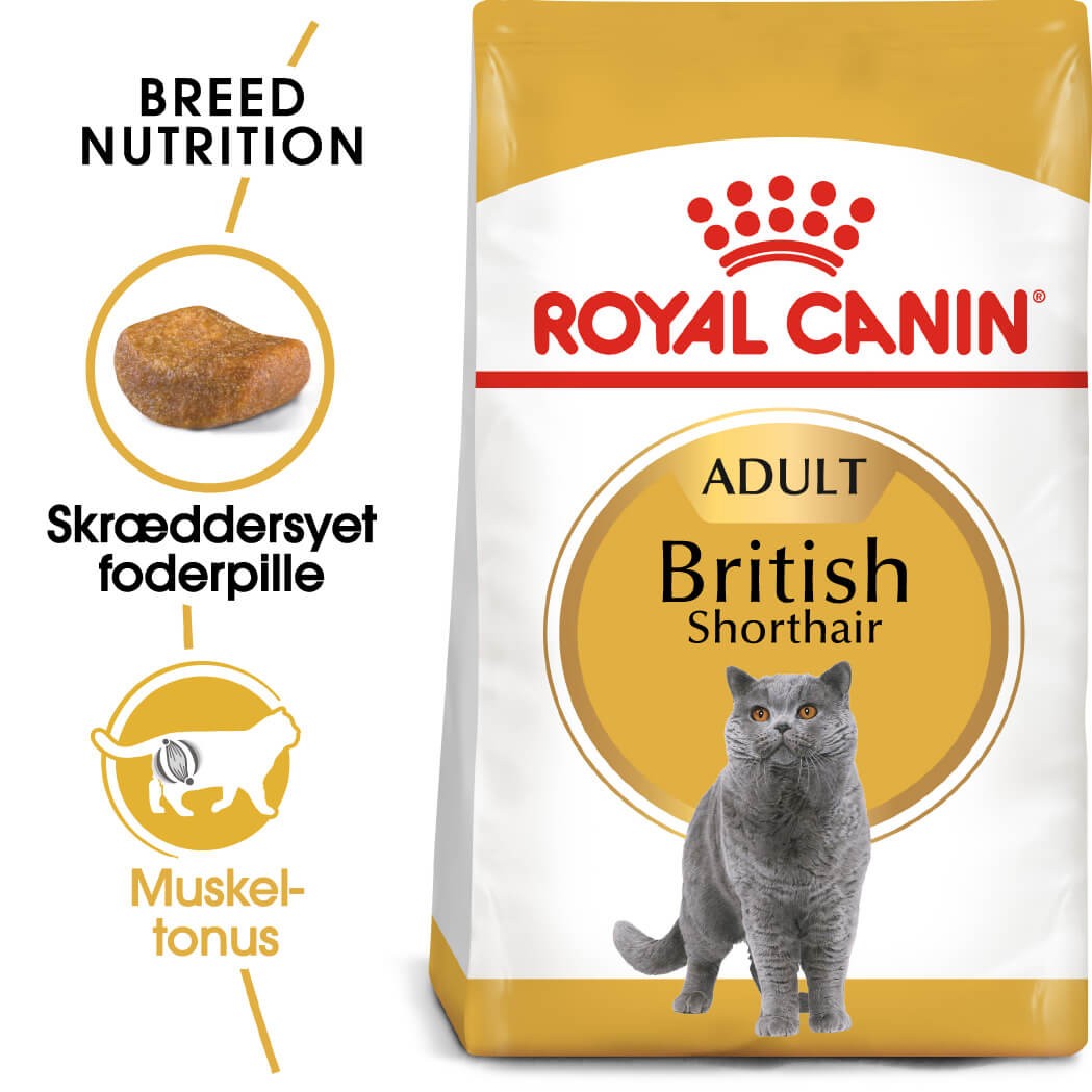 Royal Canin Adult British Shorthair kattefoder
