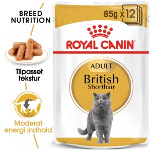Royal Canin British Shorthair Adult Pouch