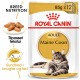 Royal Canin Maine Coon Adult vådfoder
