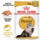 Royal Canin Persian Adult vådfoder