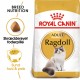 Royal Canin Adult Ragdoll kattefoder