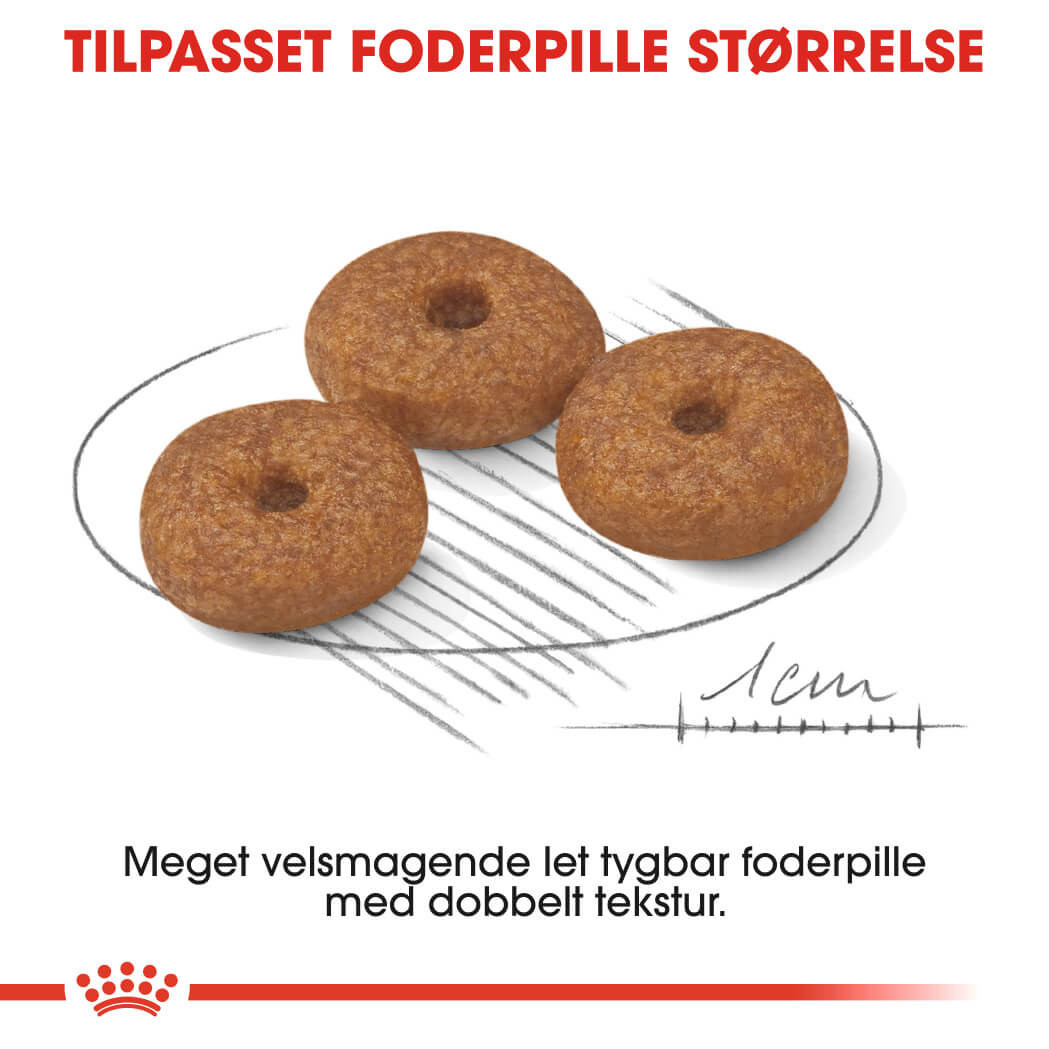 Royal Canin Mini Ageing 12+ hundefoder