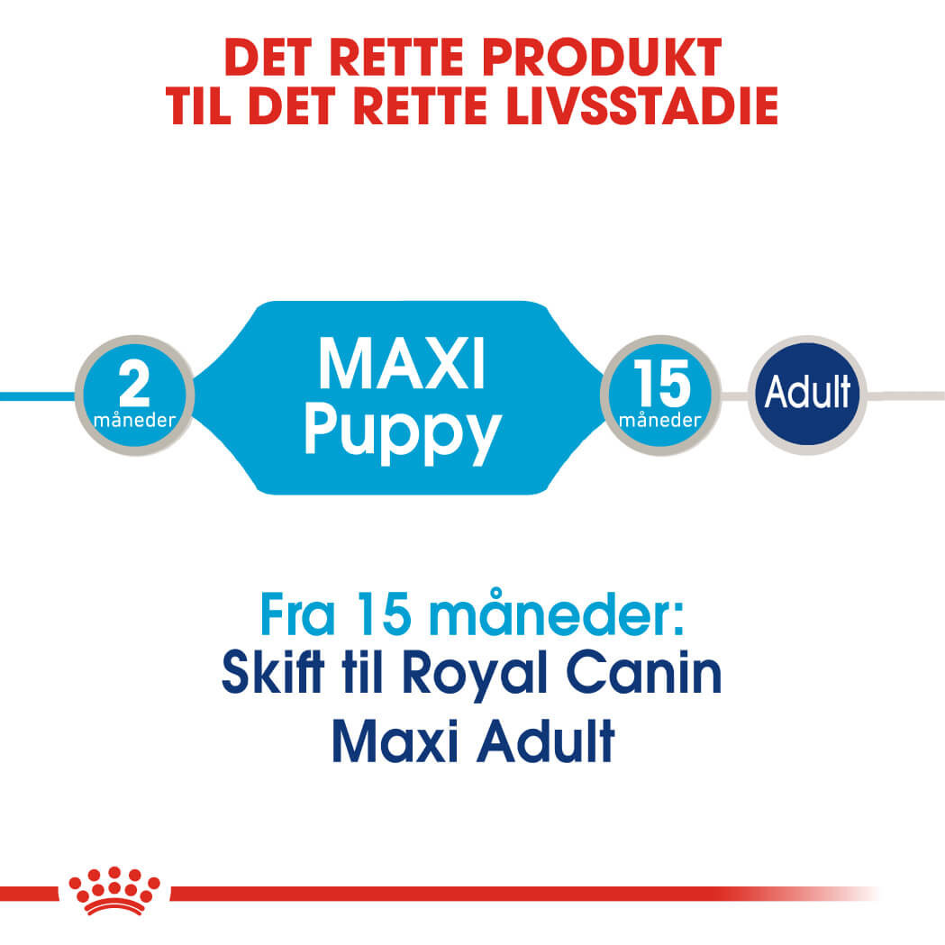 Royal Canin Maxi Puppy natvoer