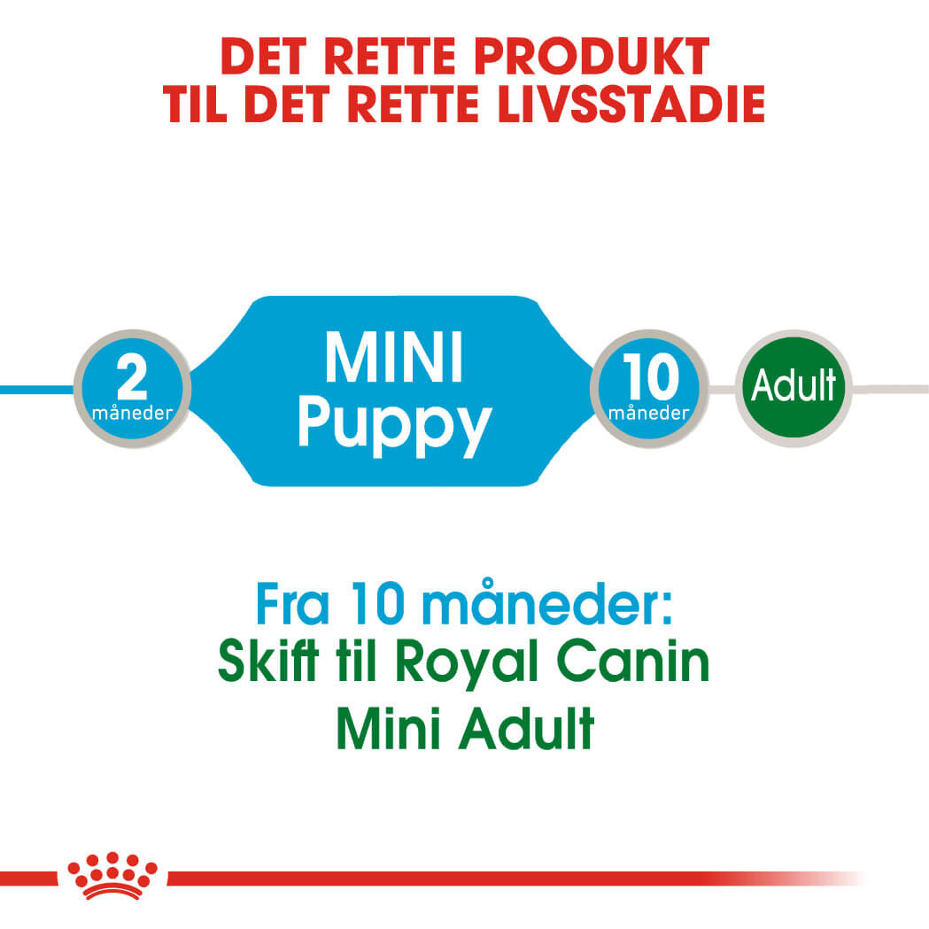 Royal Canin Mini Puppy natvoer