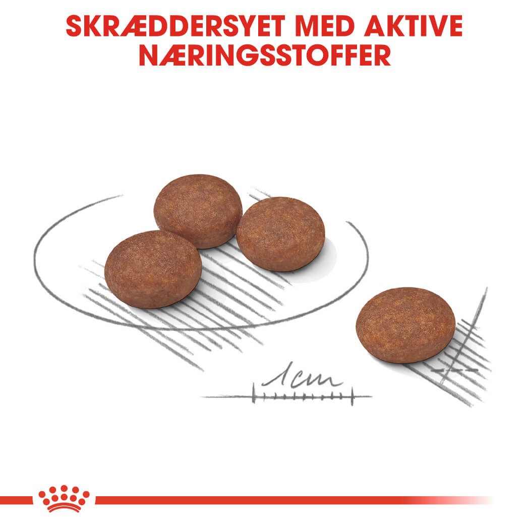 Royal Canin Mini Digestive Care hundefoder