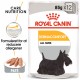 Royal Canin Dermacomfort vådfoder