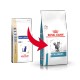 Royal Canin Veterinary Anallergenic kattefoder