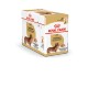 Royal Canin Teckel/Dachshund Adult Wet