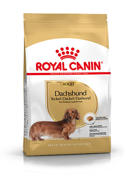 Royal Canin Adult Gravhund hundefoder