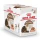 Royal Canin Ageing 12+ våd kattefoder x12
