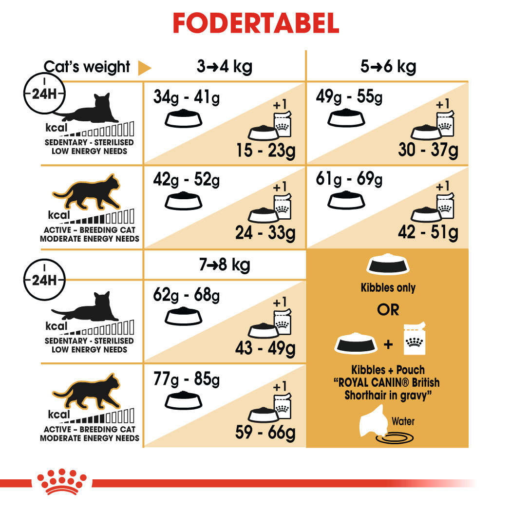 Royal Canin Adult British Shorthair kattefoder