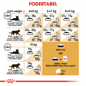 Royal Canin Adult Maine Coon kattefoder