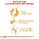 Royal Canin Adult Norsk Skovkat kattefoder