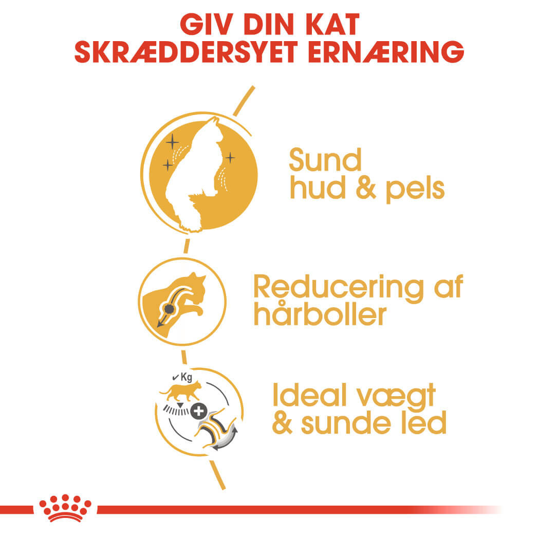 Royal Canin Adult Norsk Skovkat kattefoder