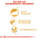 Royal Canin Adult Perser kattefoder