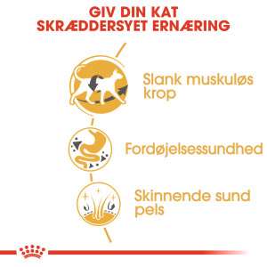 Royal Canin Adult Siameser kattefoder