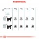 Royal Canin Hairball Care kattefoder