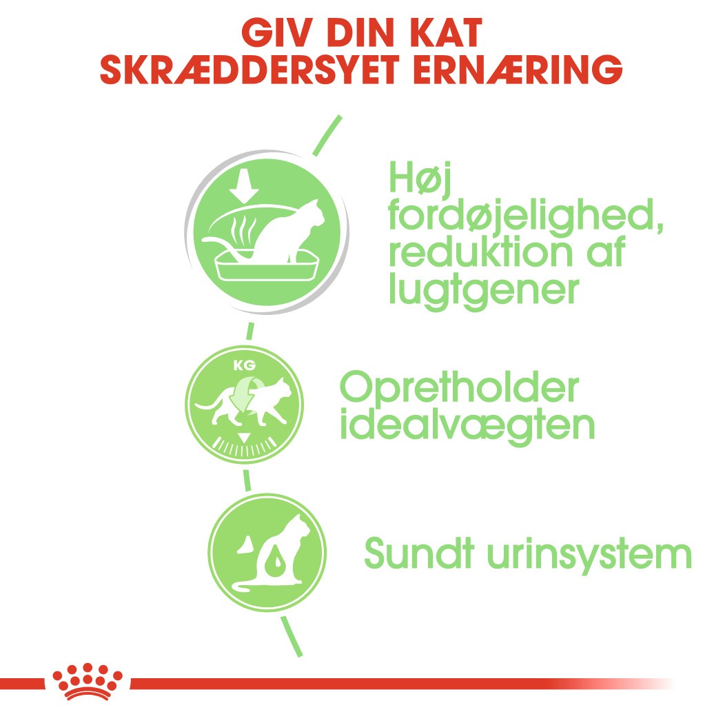 Royal Canin Digestive Care vådfoder til katte (12x85 g)