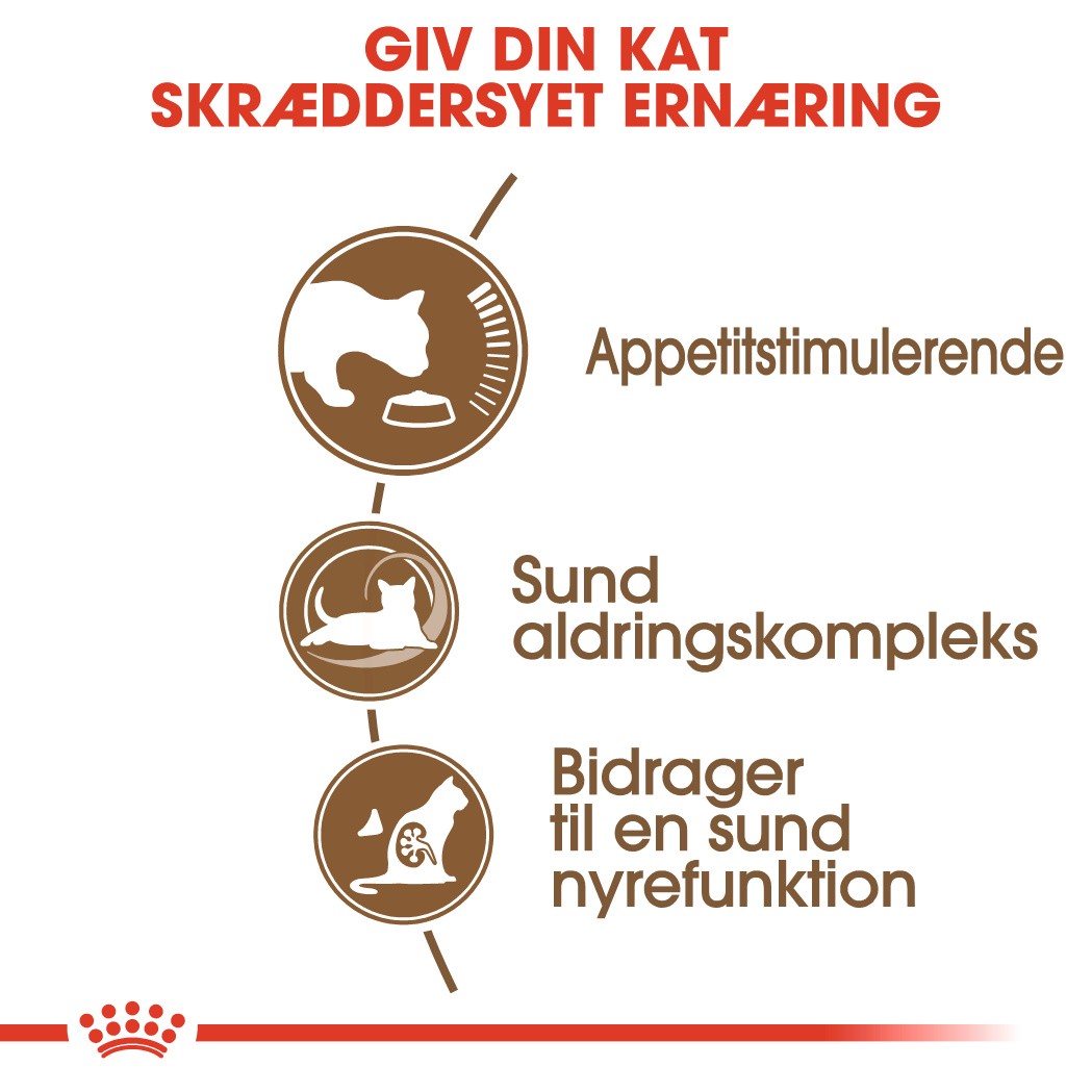 Royal Canin Ageing +12 kattefoder