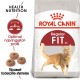 Royal Canin Fit 32 kattefoder