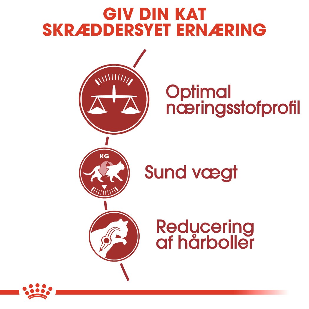 Royal Canin Regular Fit 32 kattefoder