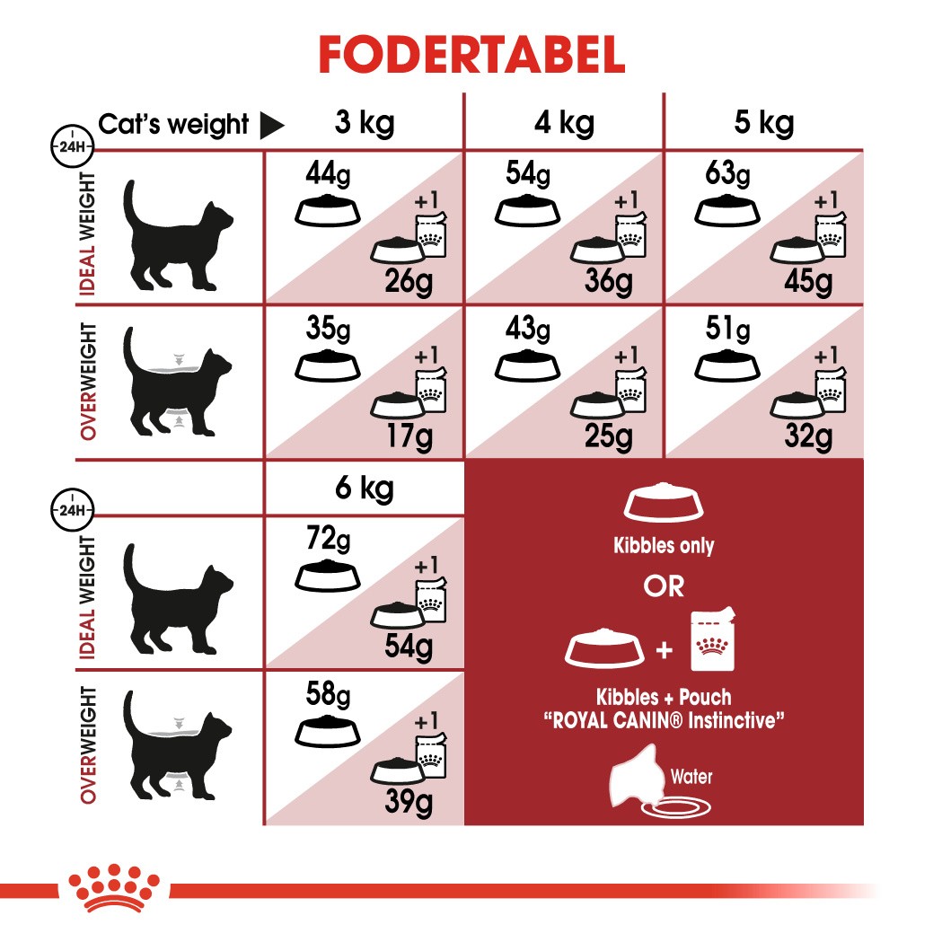 Royal Canin Regular Fit 32 kattefoder