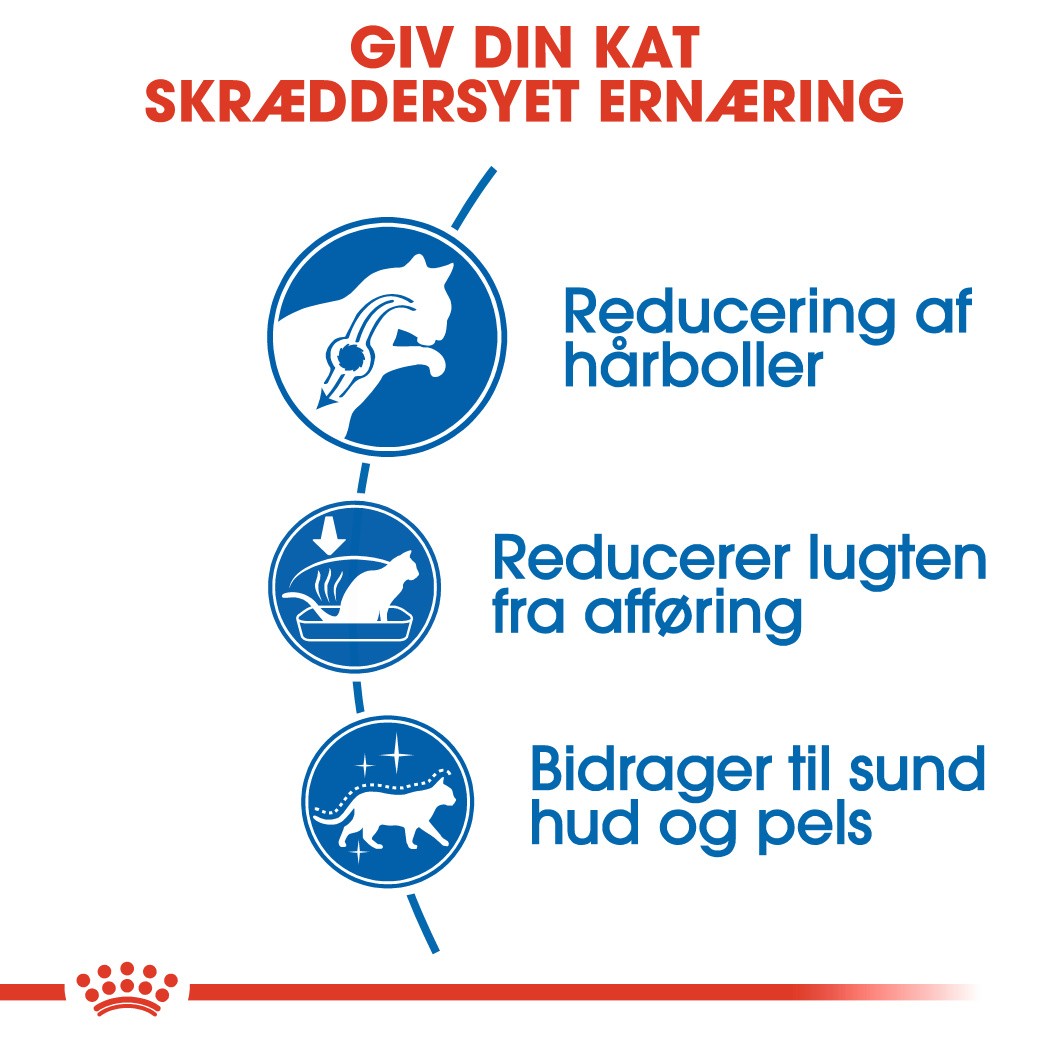 Royal Canin Indoor Long Hair kattefoder