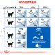 Royal Canin Indoor Long Hair kattefoder
