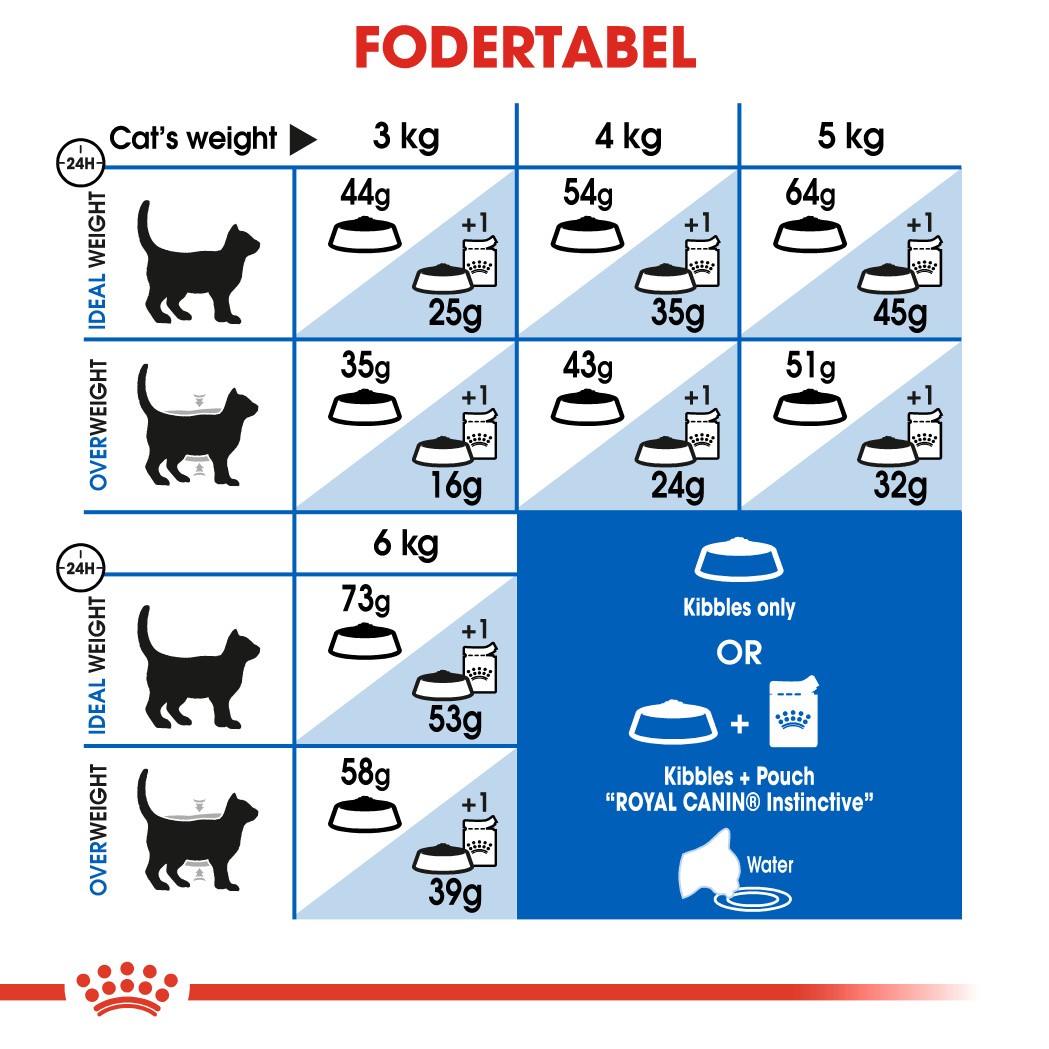 Royal Canin Indoor Long Hair kattefoder