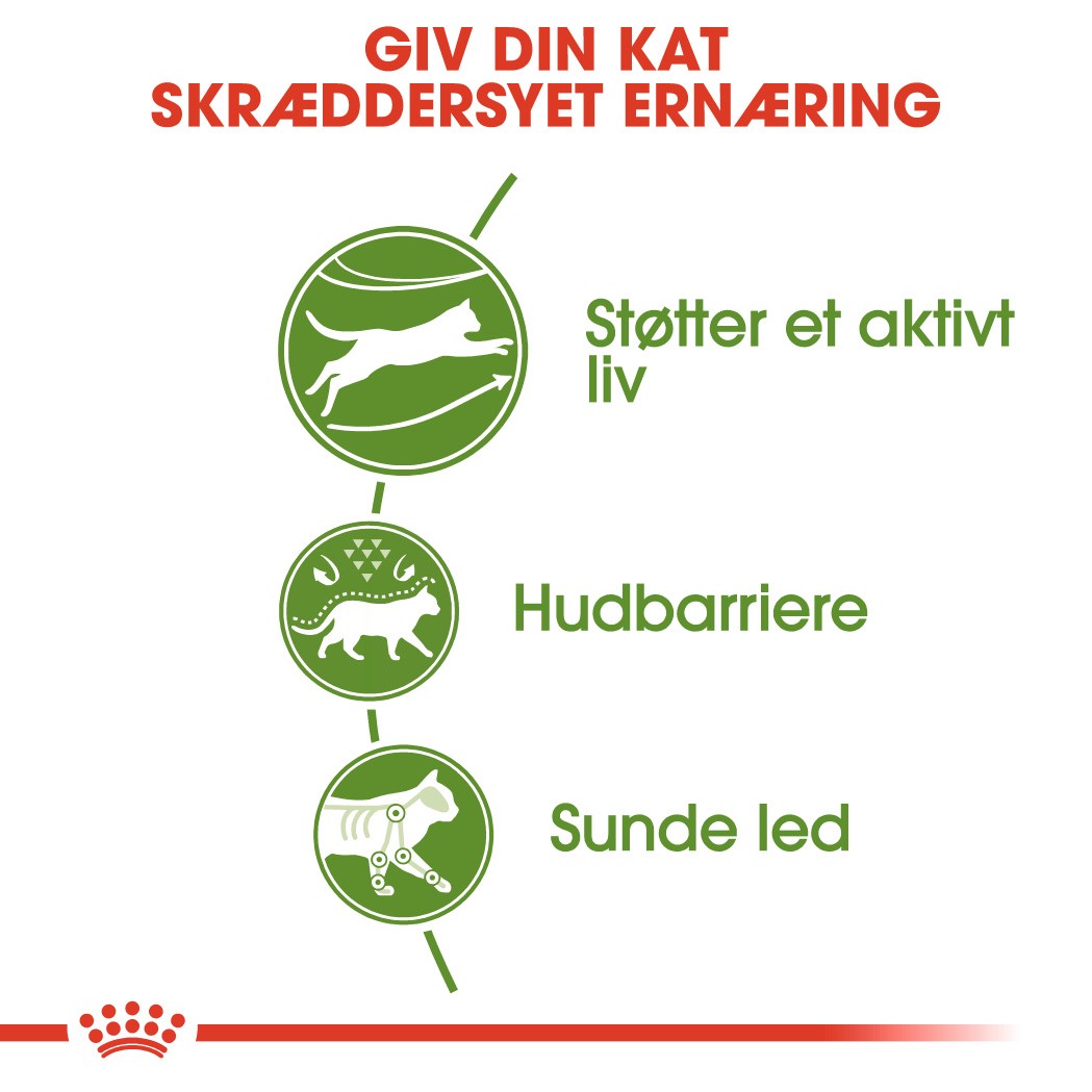 Royal Canin Outdoor kattefoder