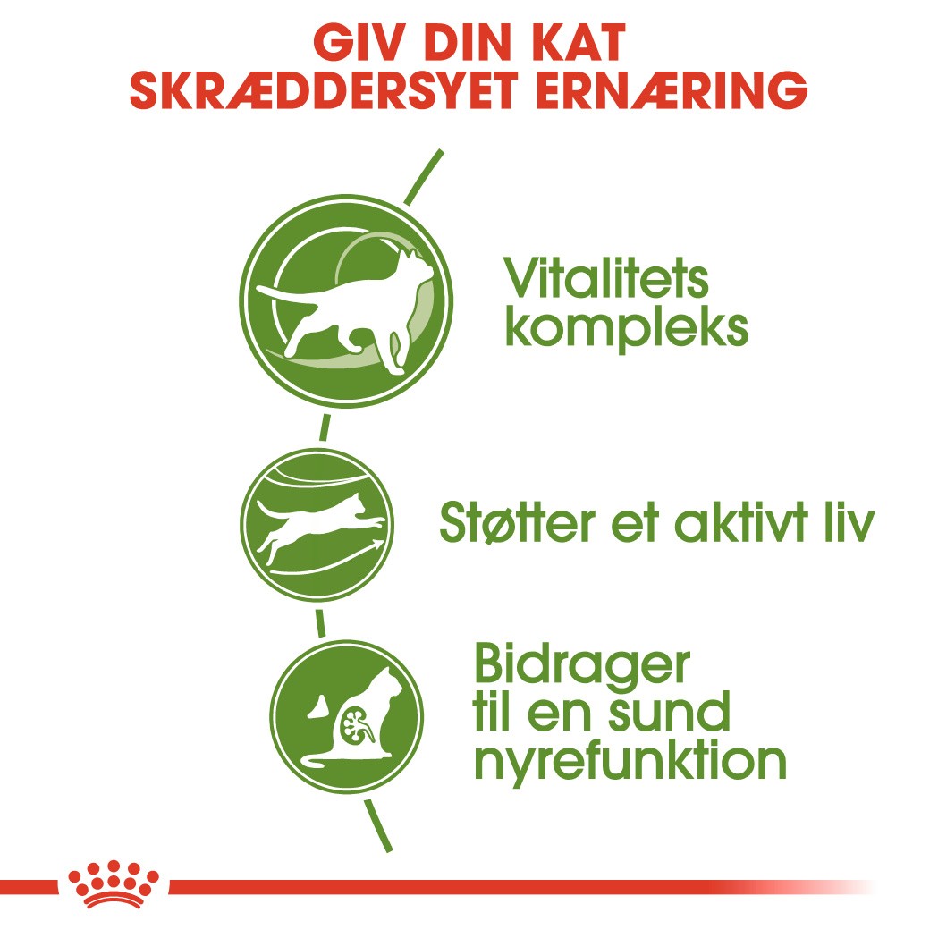 Royal Canin Outdoor 7+ kattefoder