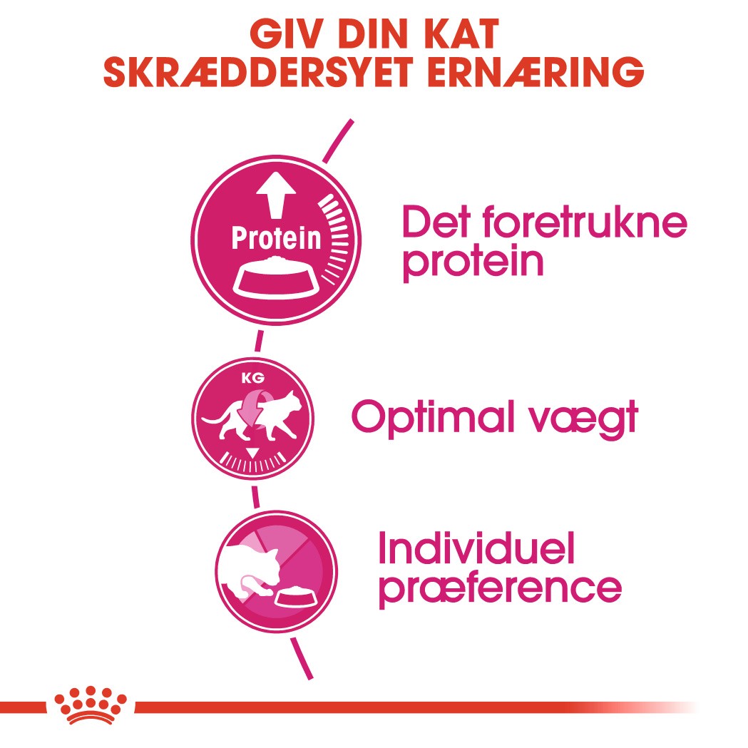 Royal Canin Protein Exigent kattefoder