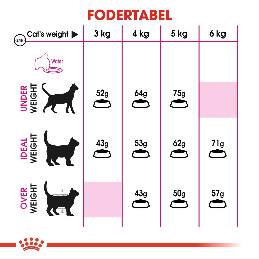Royal Canin Protein Exigent kattefoder