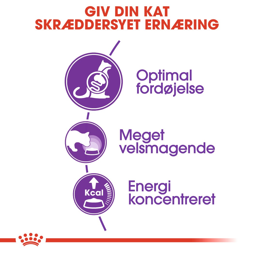 Royal Canin Regular Sensible 33 kattefoder