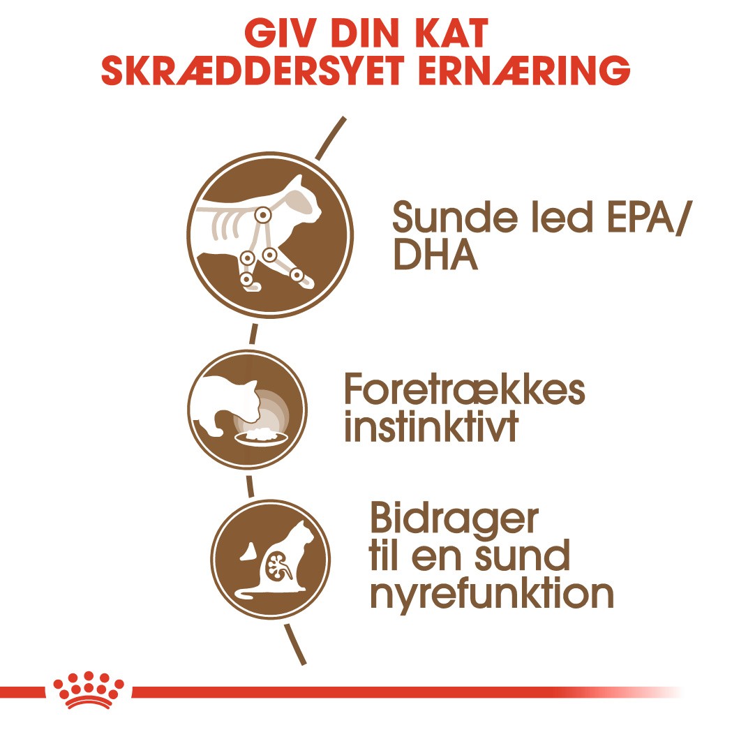 Royal Canin Ageing 12+ våd kattefoder x12