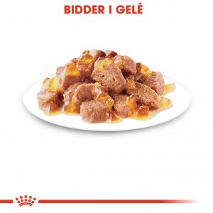 Royal Canin Instinctive vådfoder til katte (85 g)