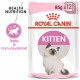 Royal Canin Kitten i sovs vådfoder til killinger (85 g)