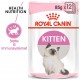 Royal Canin Kitten i sovs vådfoder til killinge (85 g)