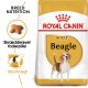 Royal Canin Adult Beagle hundefoder