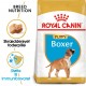 Royal Canin Puppy Boxer hundefoder