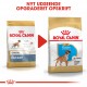 Royal Canin Puppy Boxer hundefoder