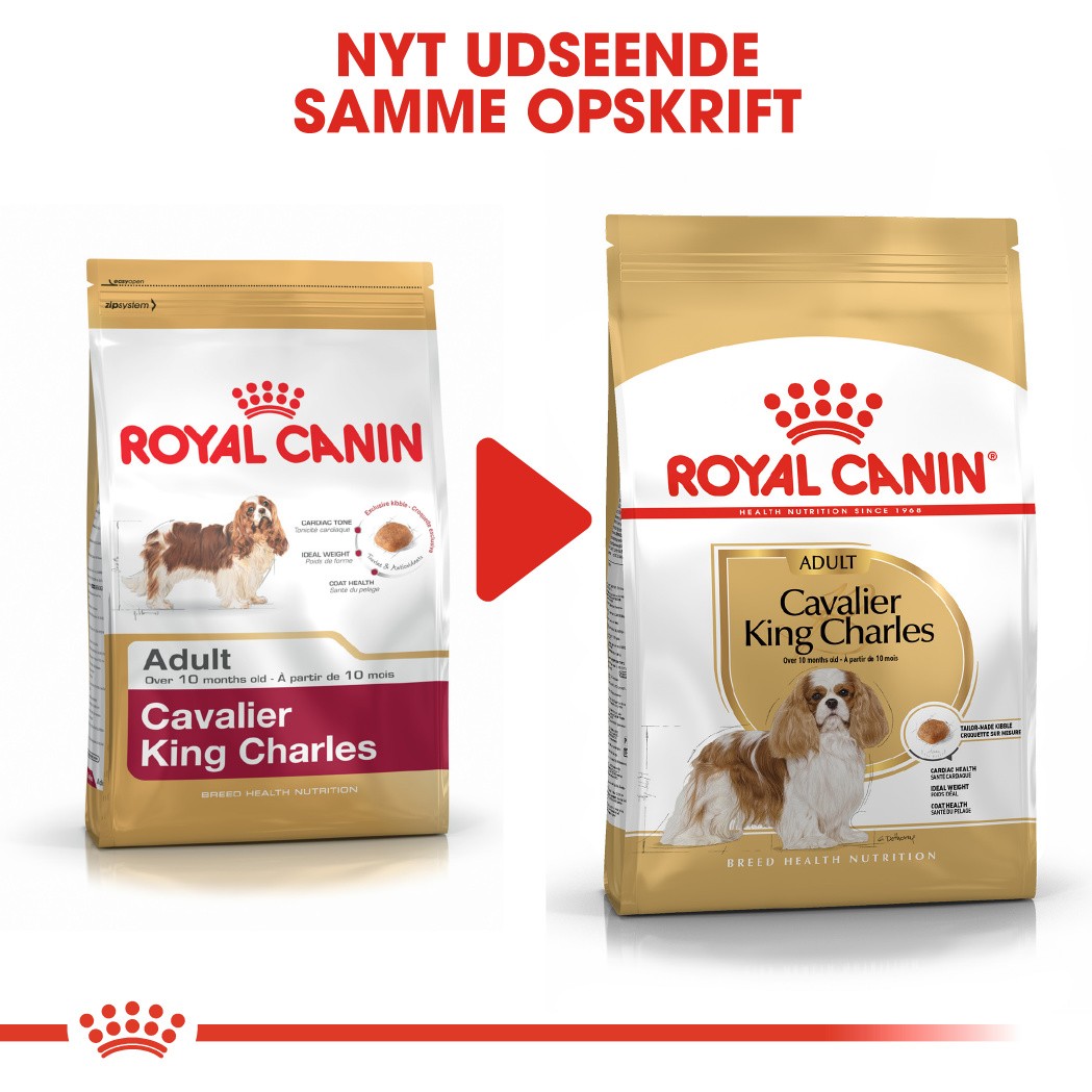 Royal Canin Adult Cavalier King Charles hundefoder