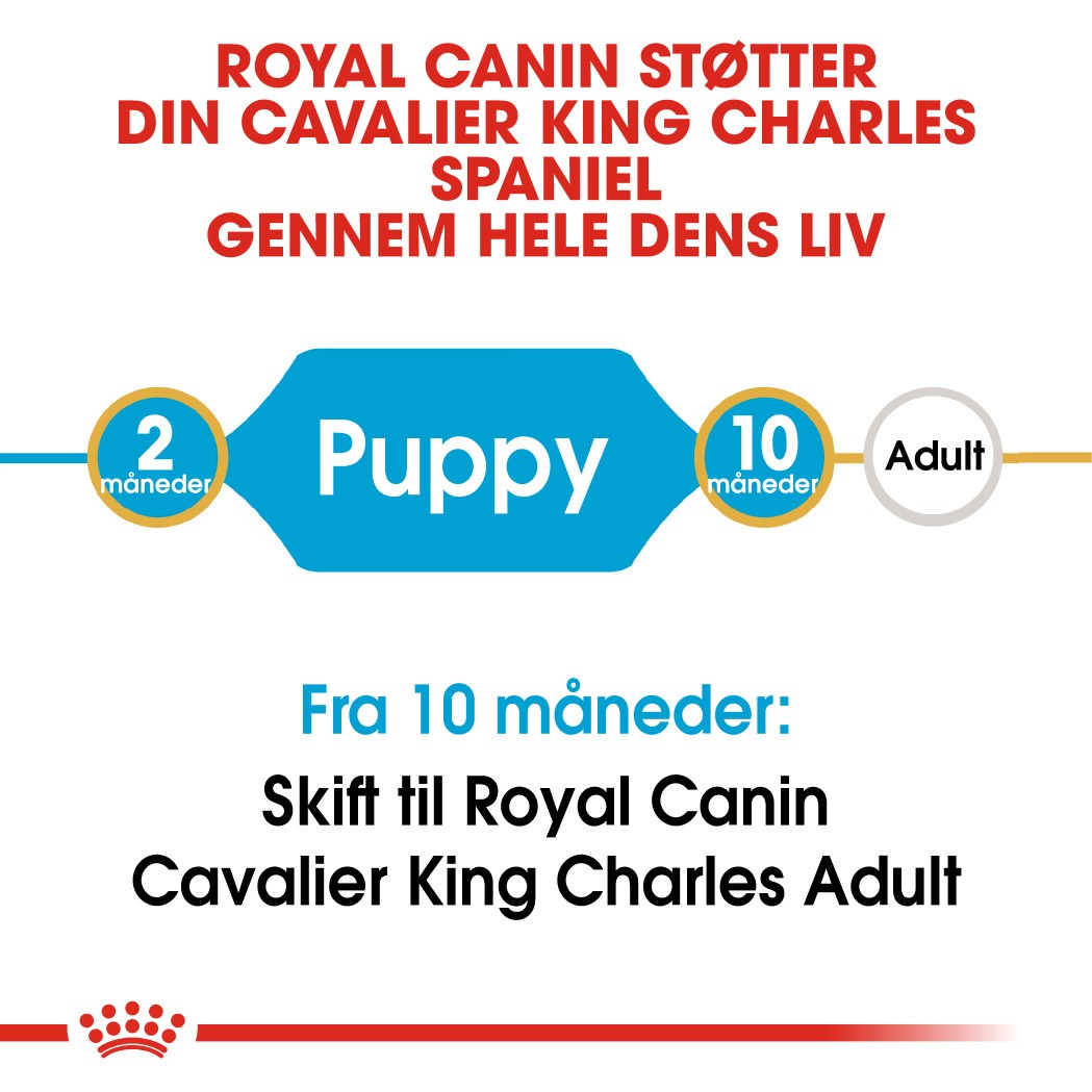 Royal Canin Puppy Cavalier King Charles hundefoder