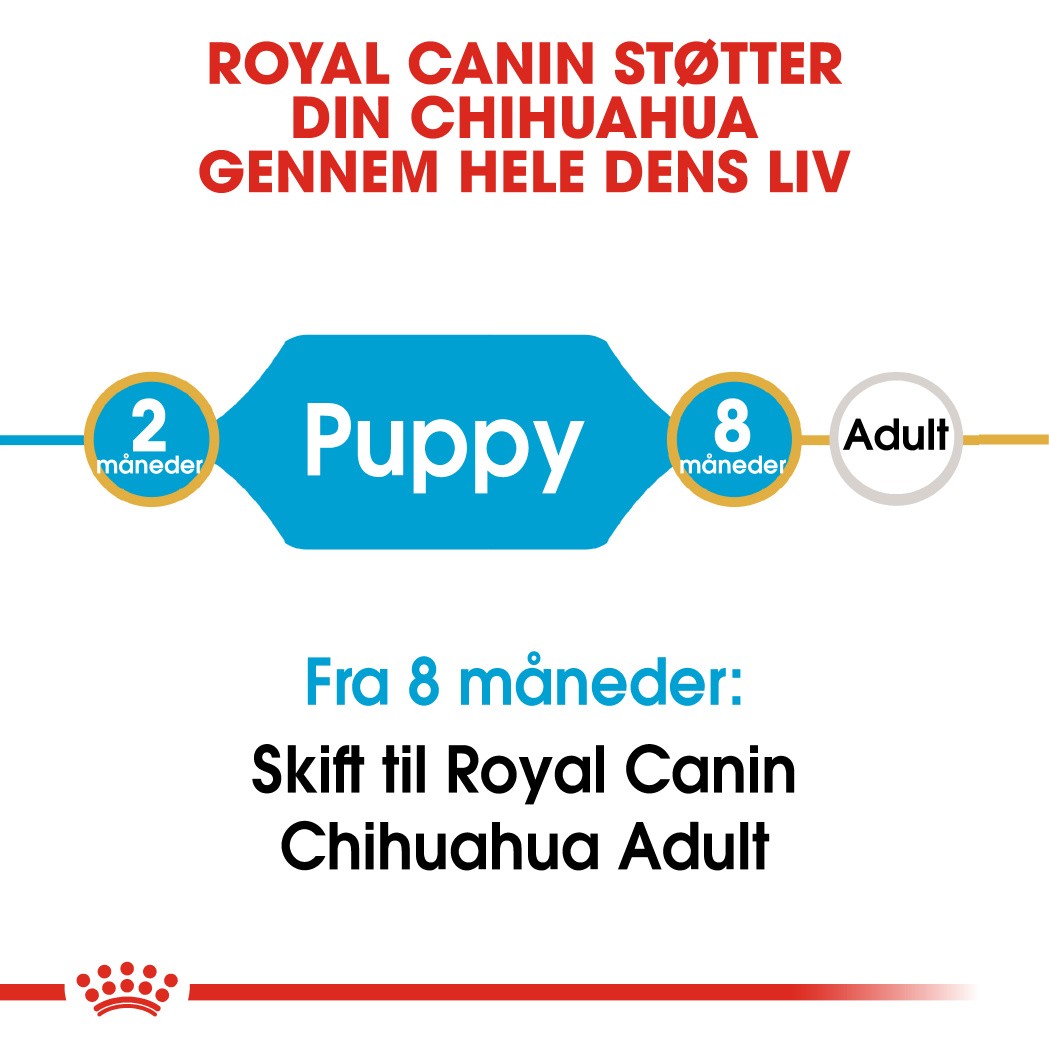 Royal Canin Puppy Chihuahua hundefoder