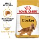 Royal Canin Adult Cocker Spaniel hundefoder